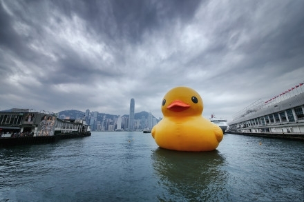 大黄鸭将于周日离维港告别粉丝 -唐山市美术家